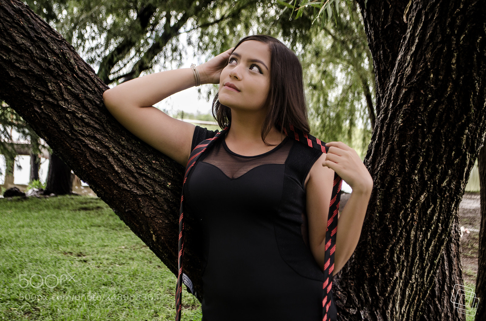 Nikon D5100 sample photo. Untitled photography