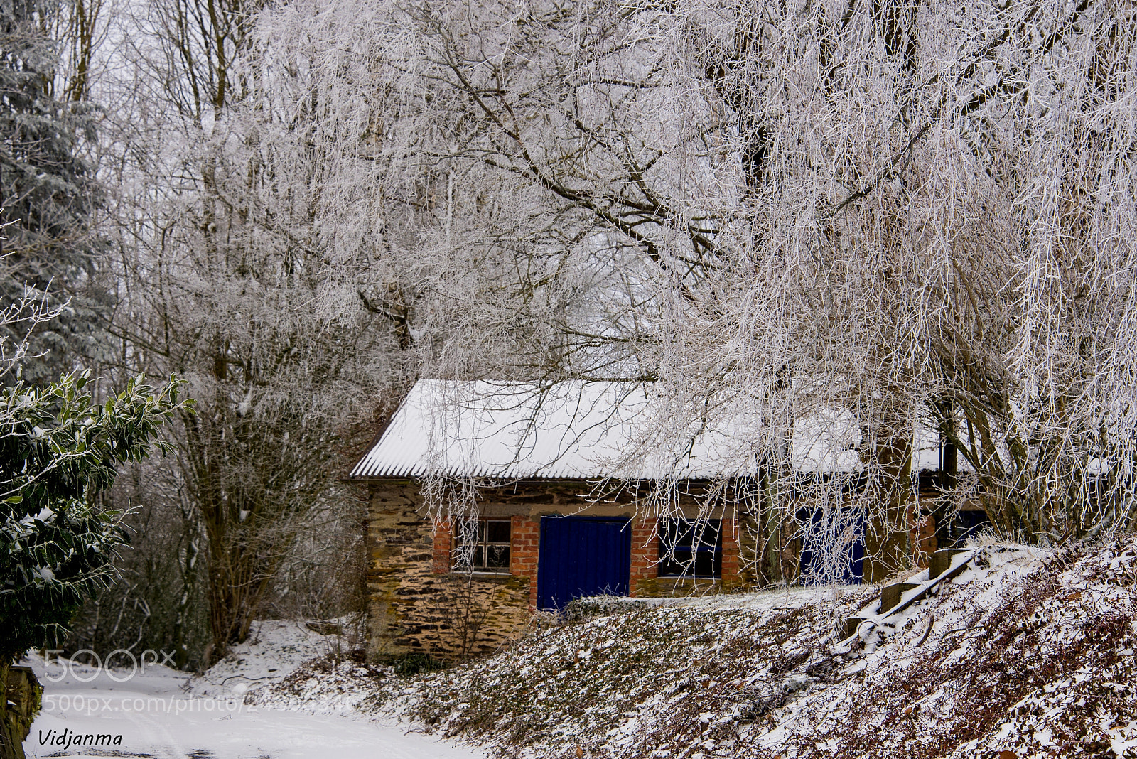 Nikon D610 sample photo. Frosted shed photography