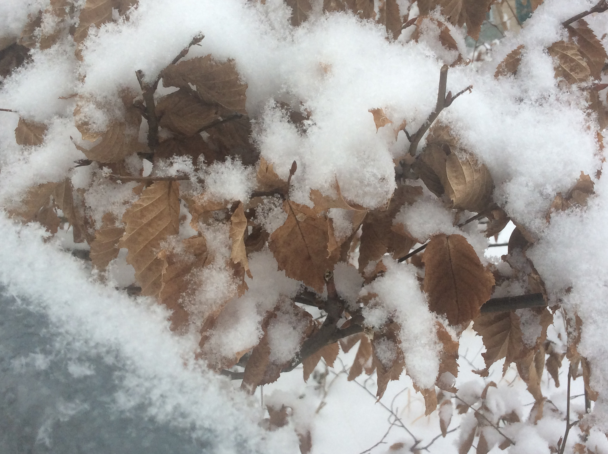Apple iPad Air sample photo