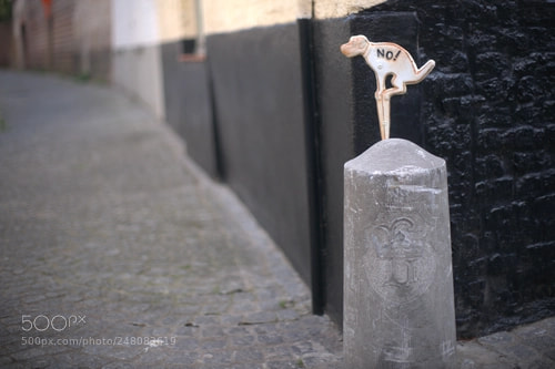 Sony Alpha DSLR-A850 sample photo. Graffiti, bruges, août 2017 photography