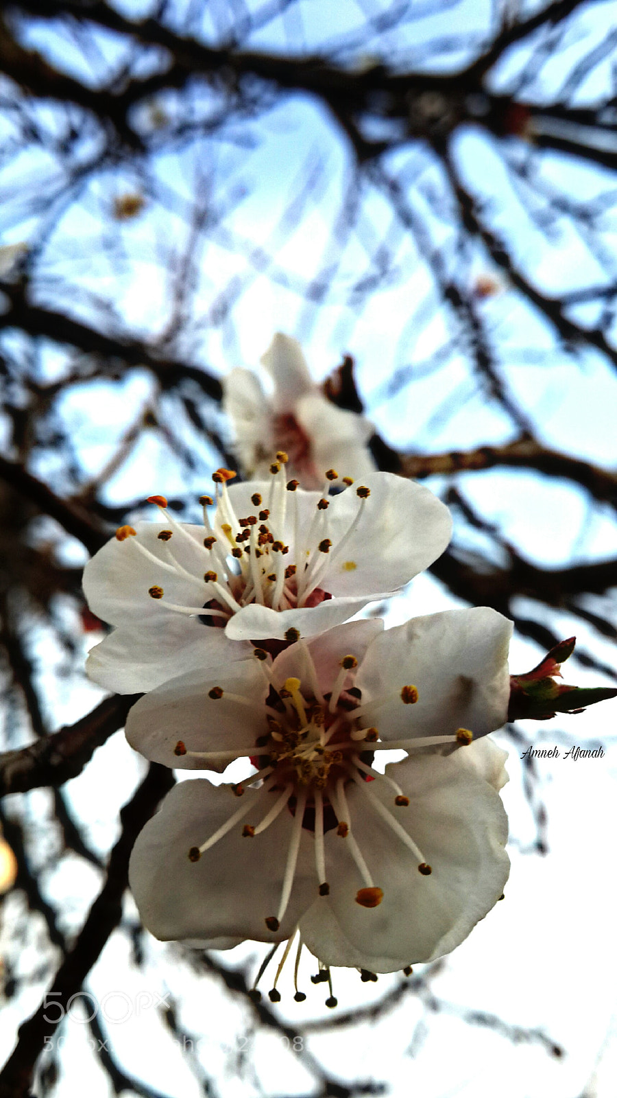 Samsung Galaxy S4 sample photo. Untitled photography