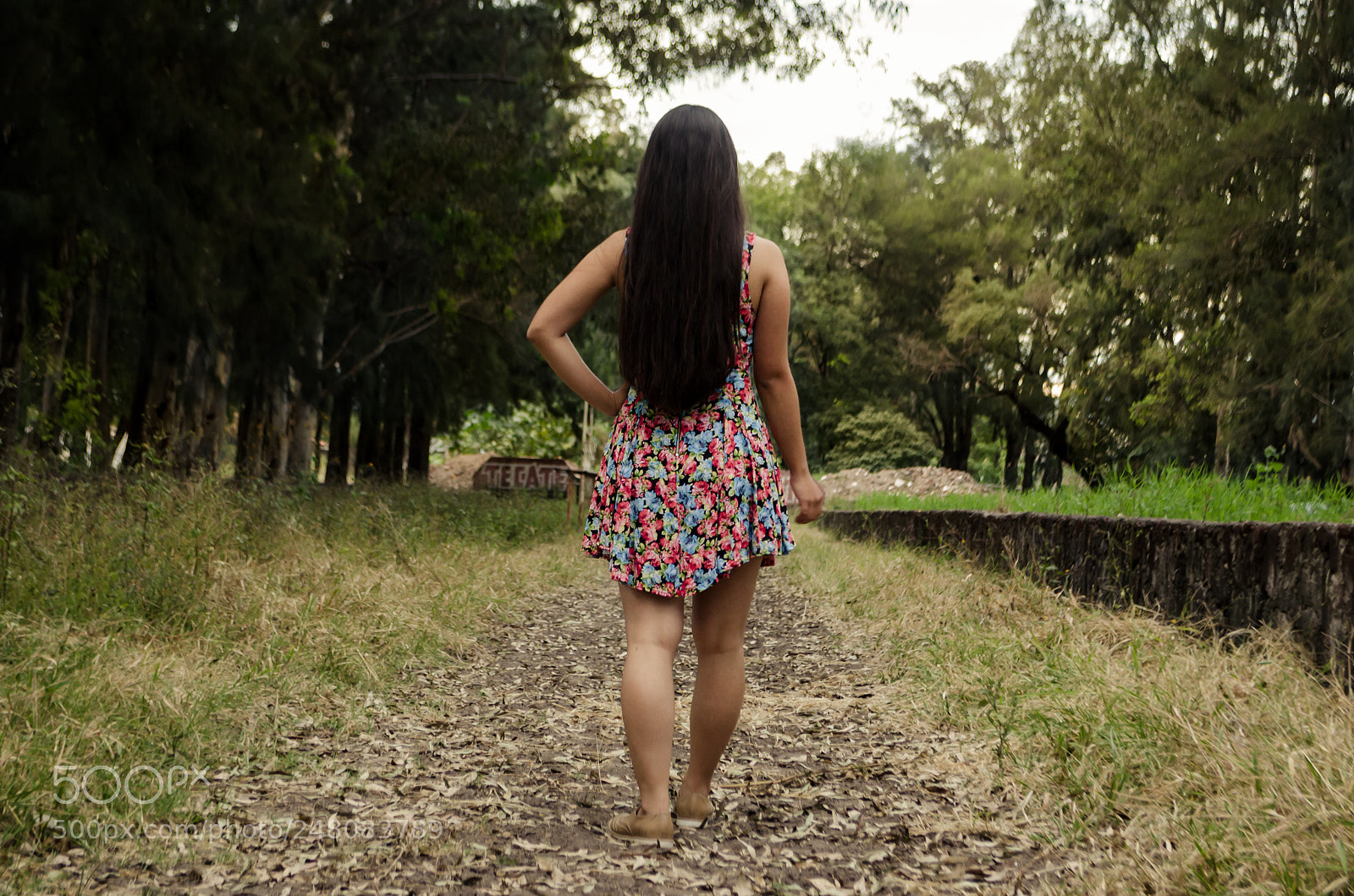 Nikon D5100 sample photo. Untitled photography