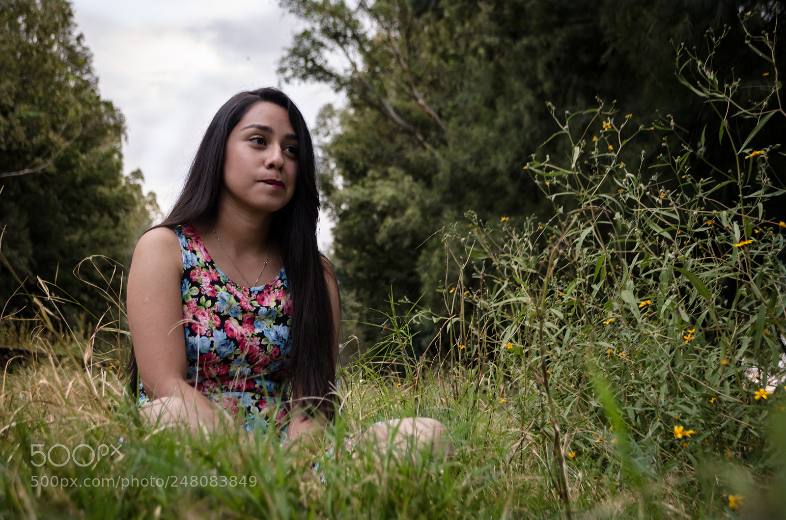 Nikon D5100 sample photo. Untitled photography