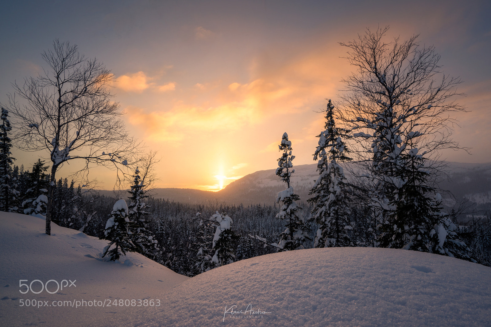 Sony a7R II sample photo. Golden sunset in winterwonderland photography