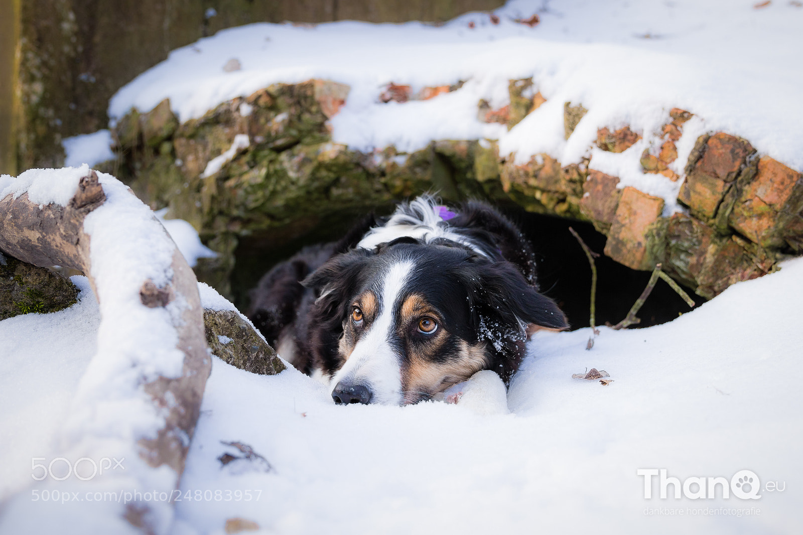 Canon EOS 7D Mark II sample photo. Jindi’s snowcave photography