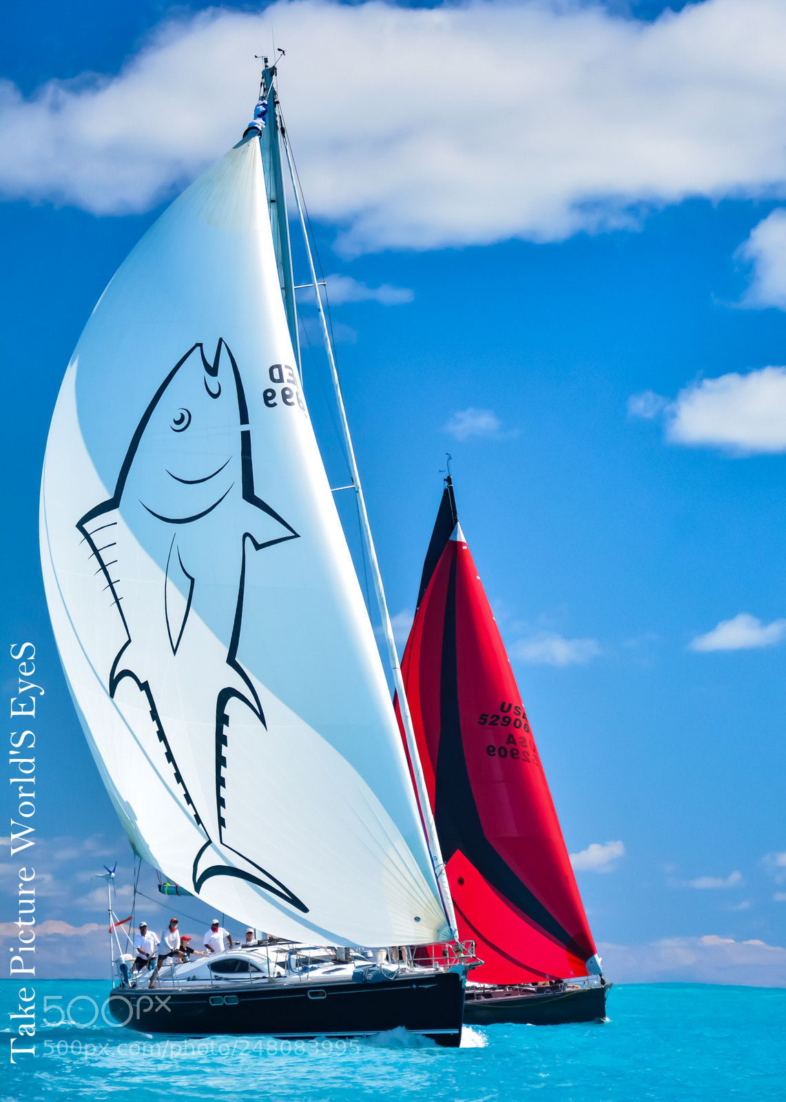 Nikon D7100 sample photo. Heineken regatta st martin photography
