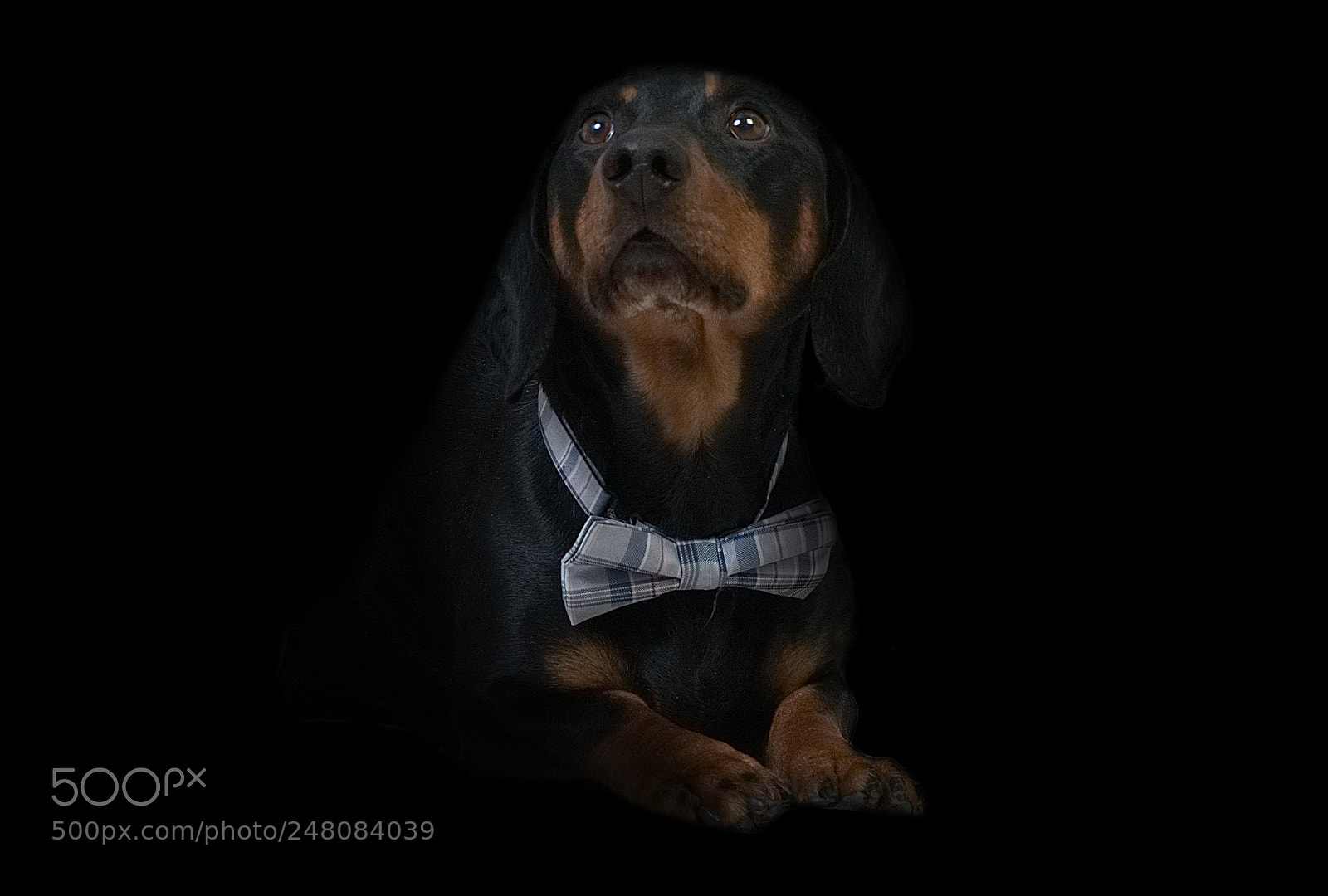 Sony a7 II sample photo. I am waldemar, the photography