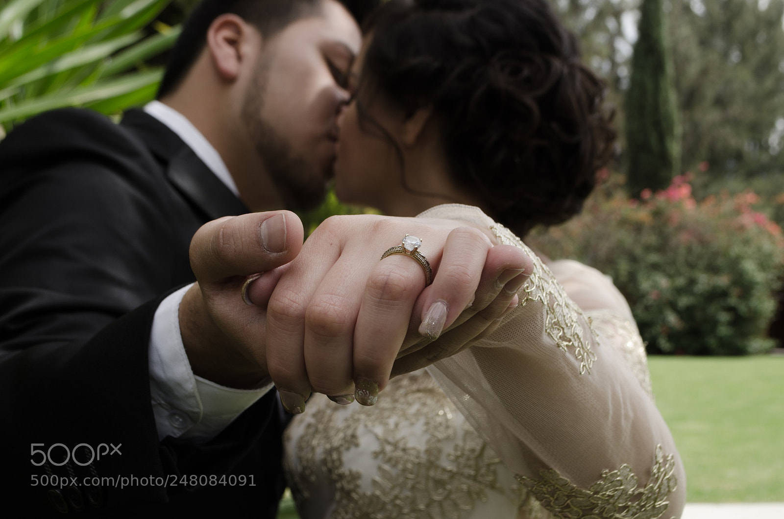 Nikon D5100 sample photo. Untitled photography
