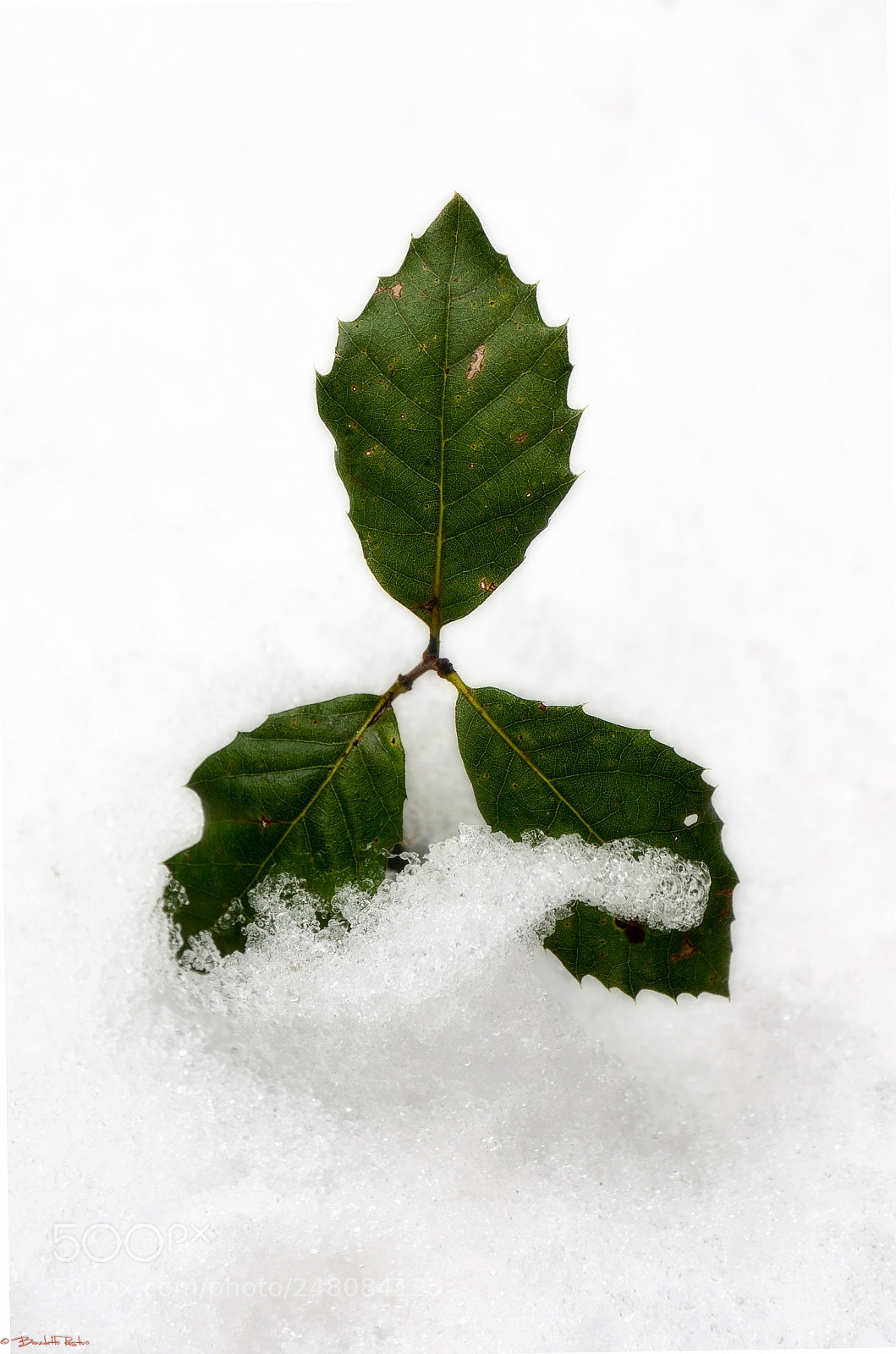 Nikon D5100 sample photo. Oltre l'immagine, dettagli dal photography
