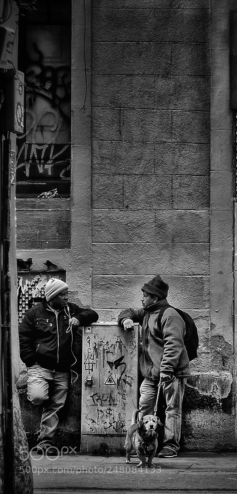 Nikon D300S sample photo. Untitled photography