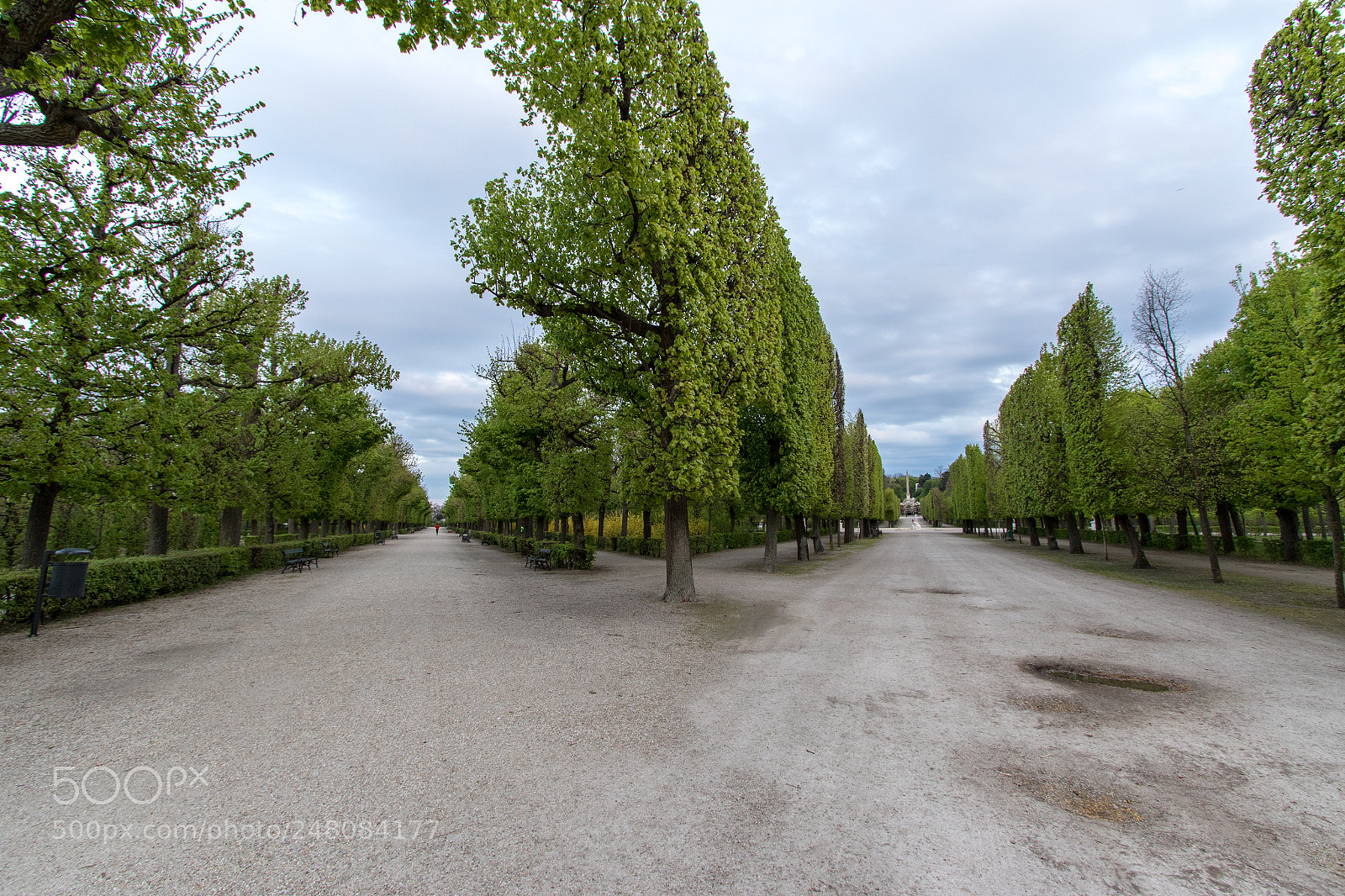 Canon EOS 7D Mark II sample photo. Schönbrunn palace gardens photography