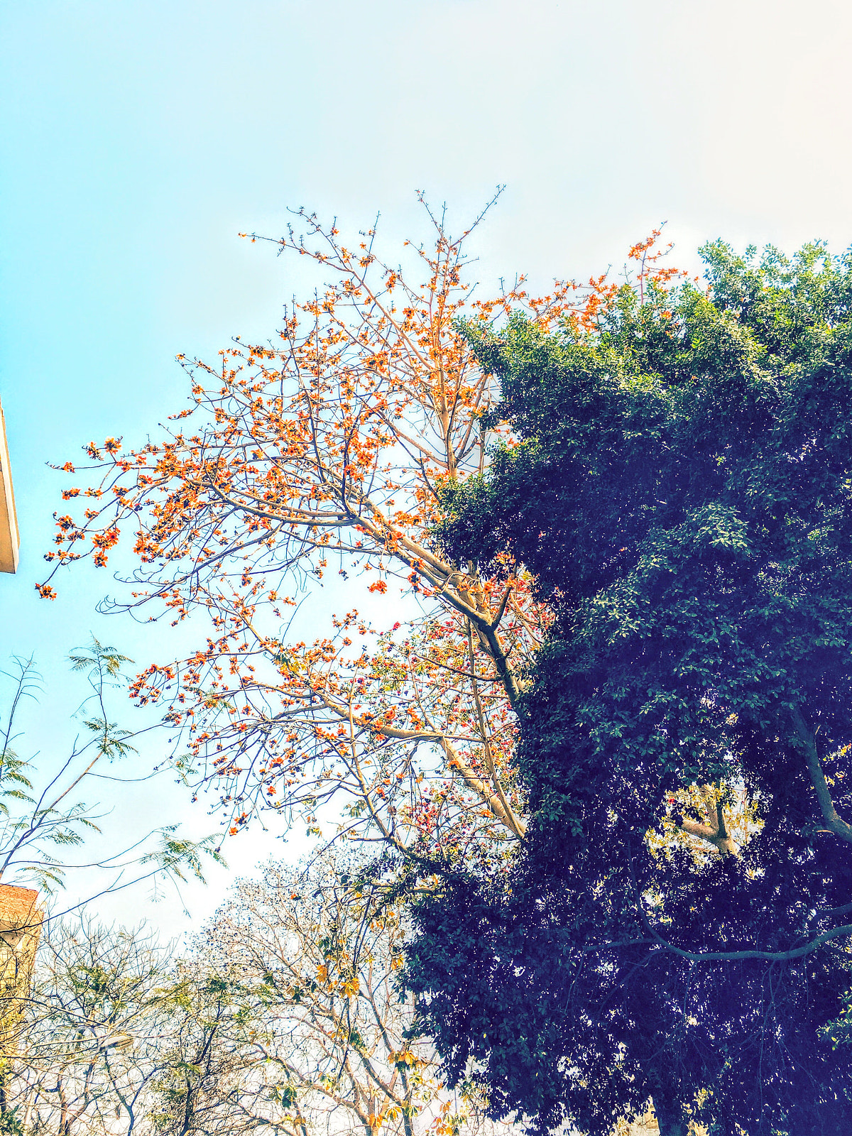 Apple iPhone 6s Plus sample photo. Untitled photography