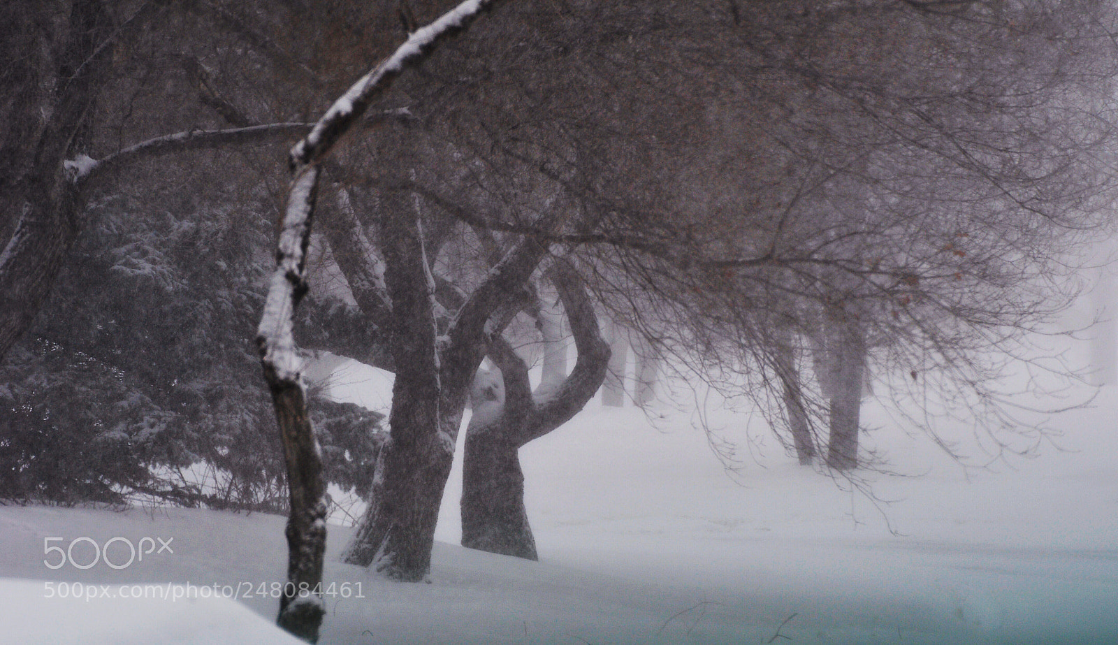 Nikon D90 sample photo. Winter photography