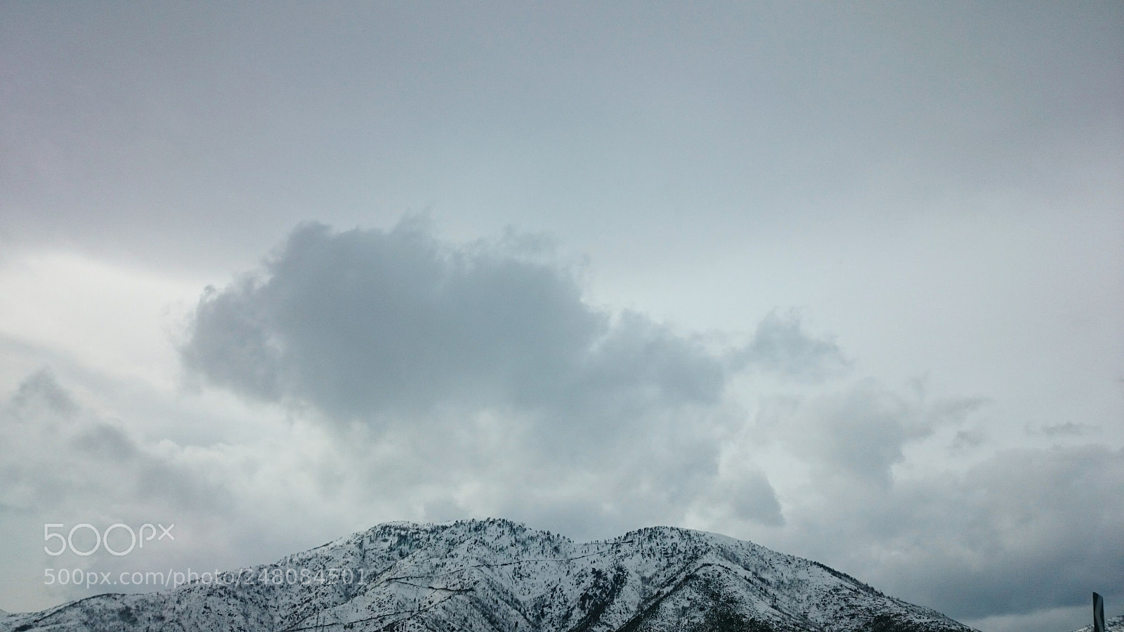 Sony Xperia Z2 sample photo. Untitled photography