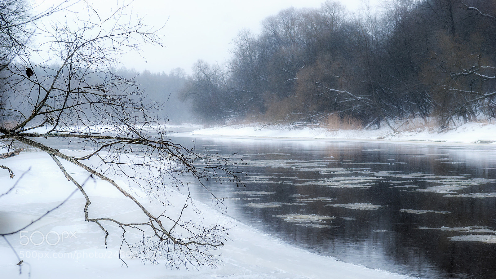 Nikon D40X sample photo. By the river photography