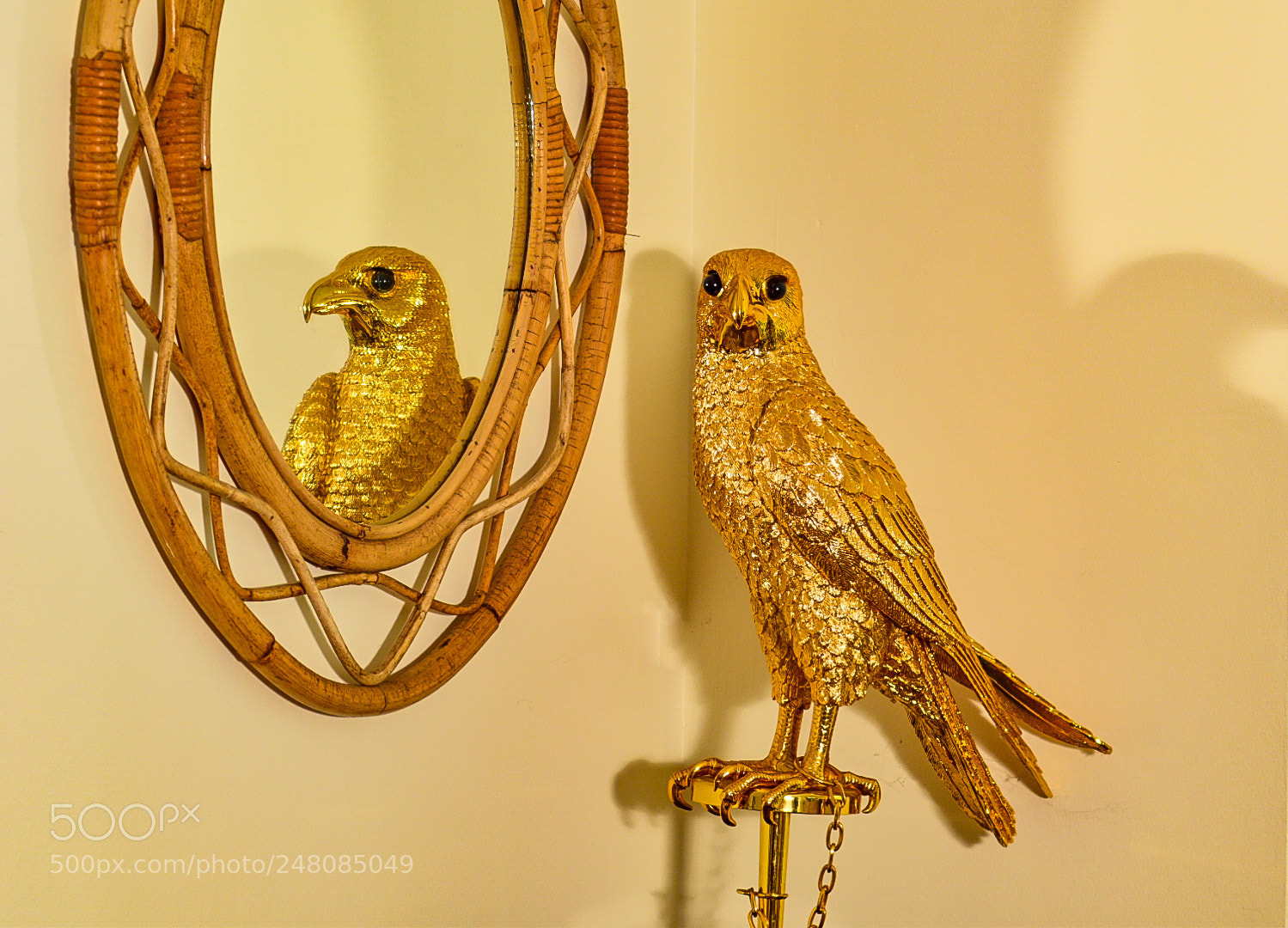 Nikon D5300 sample photo. Untitled photography