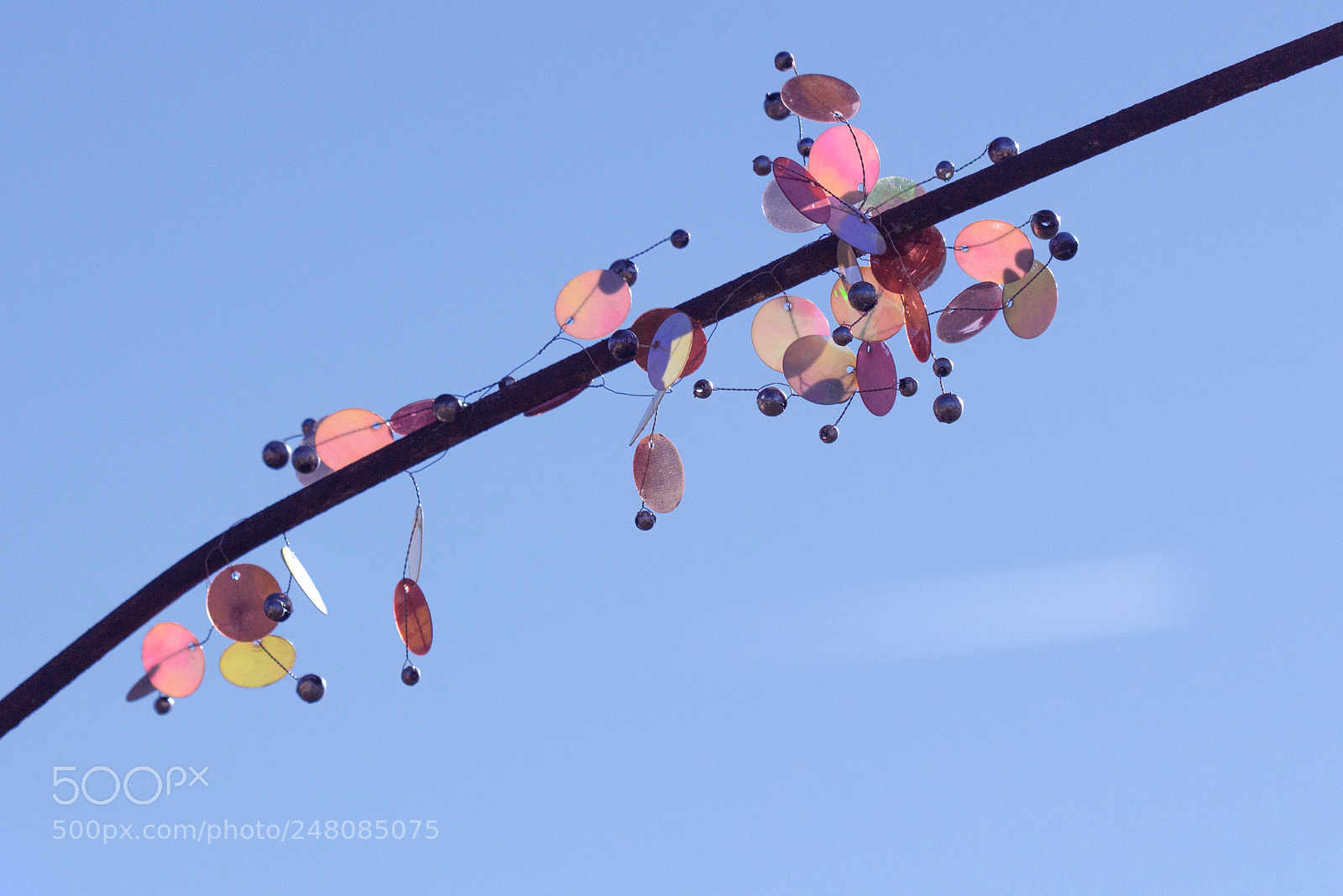 Canon EOS 700D (EOS Rebel T5i / EOS Kiss X7i) sample photo. Les paillettes (sequins) photography