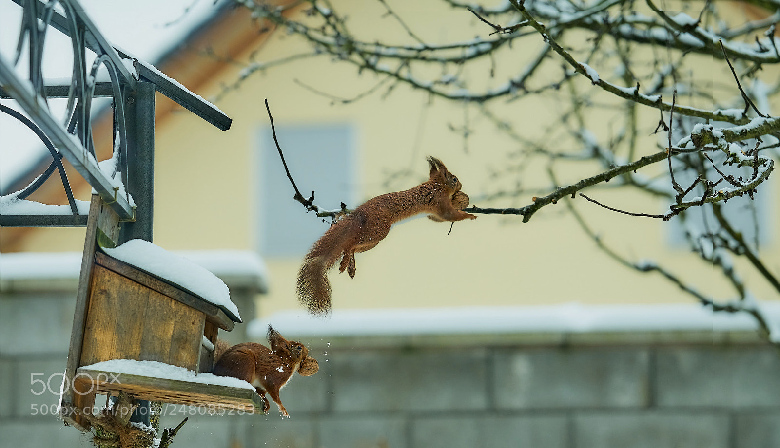 Sony a7R II sample photo. In motion photography
