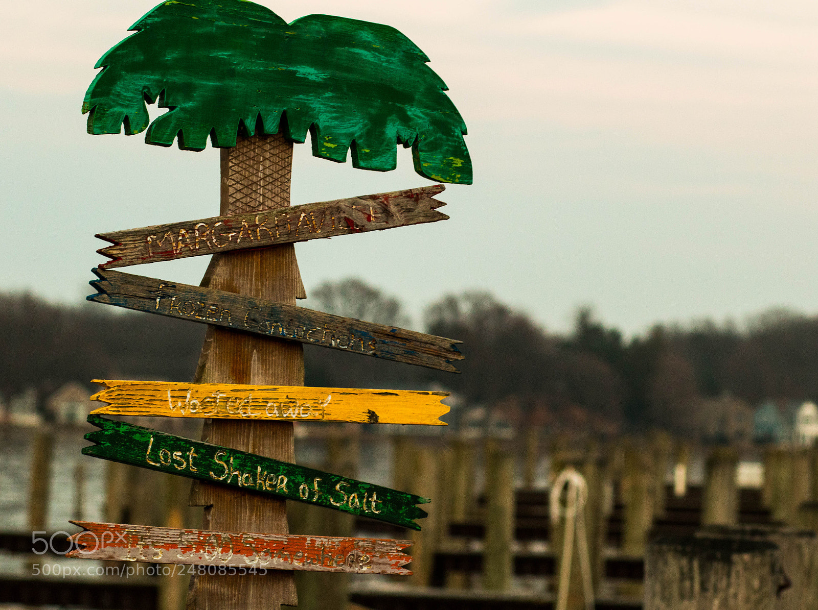 Canon EOS 7D Mark II sample photo. Jimmy buffett photography