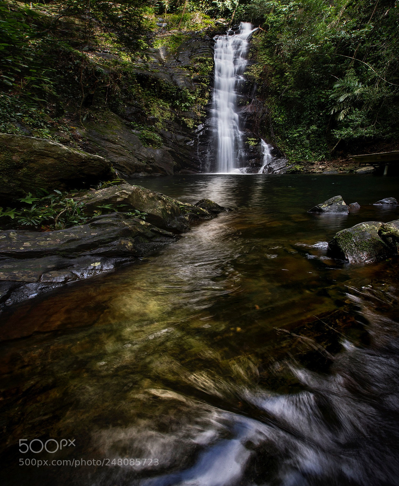 Canon EOS-1D X Mark II sample photo. Belize is a country photography