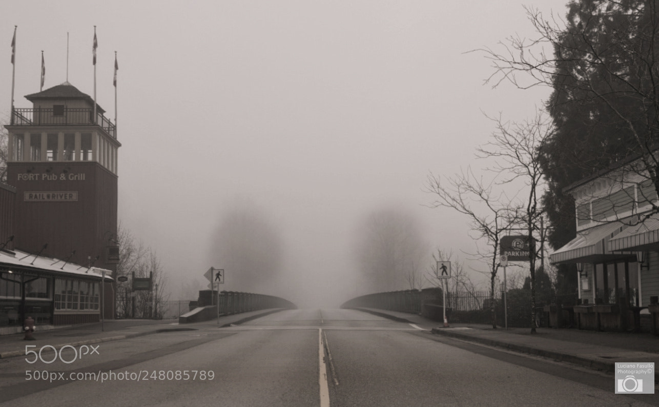 Sony a7R II sample photo. Over the bridge to photography