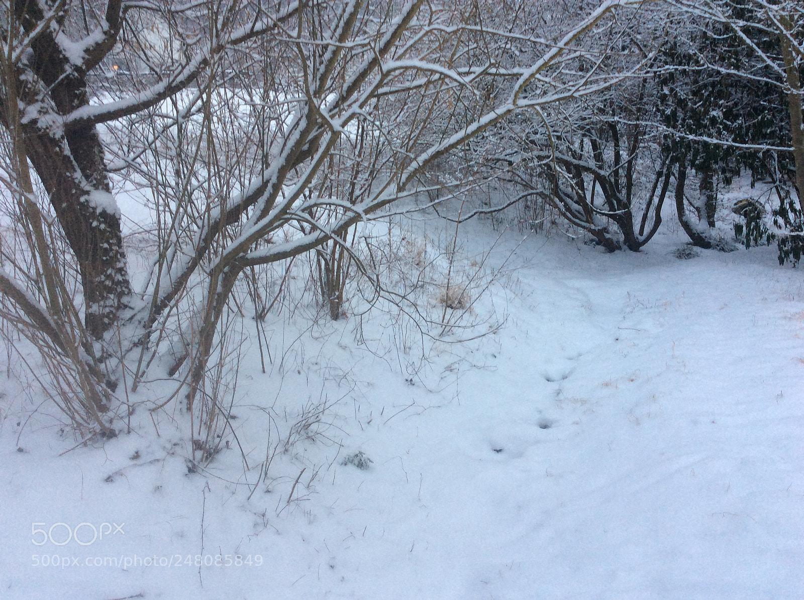 Apple iPad Air sample photo. Untitled photography