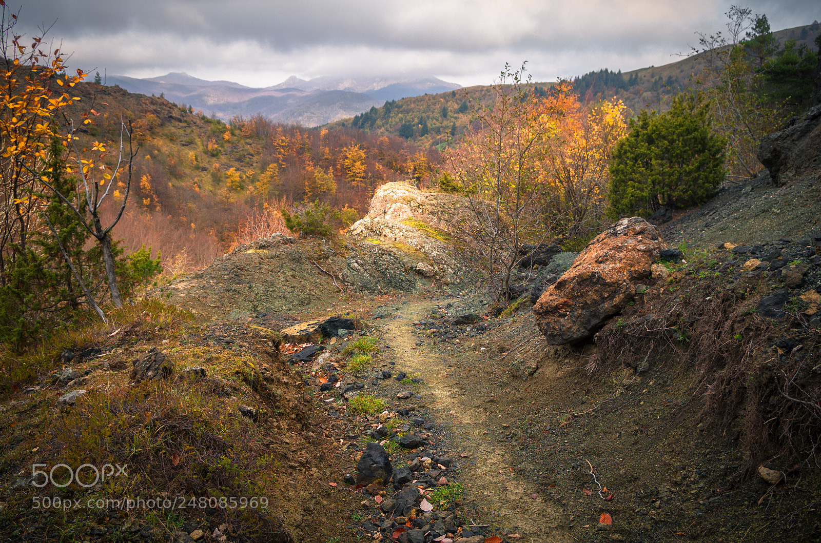 Pentax K-500 sample photo. The mountain path photography