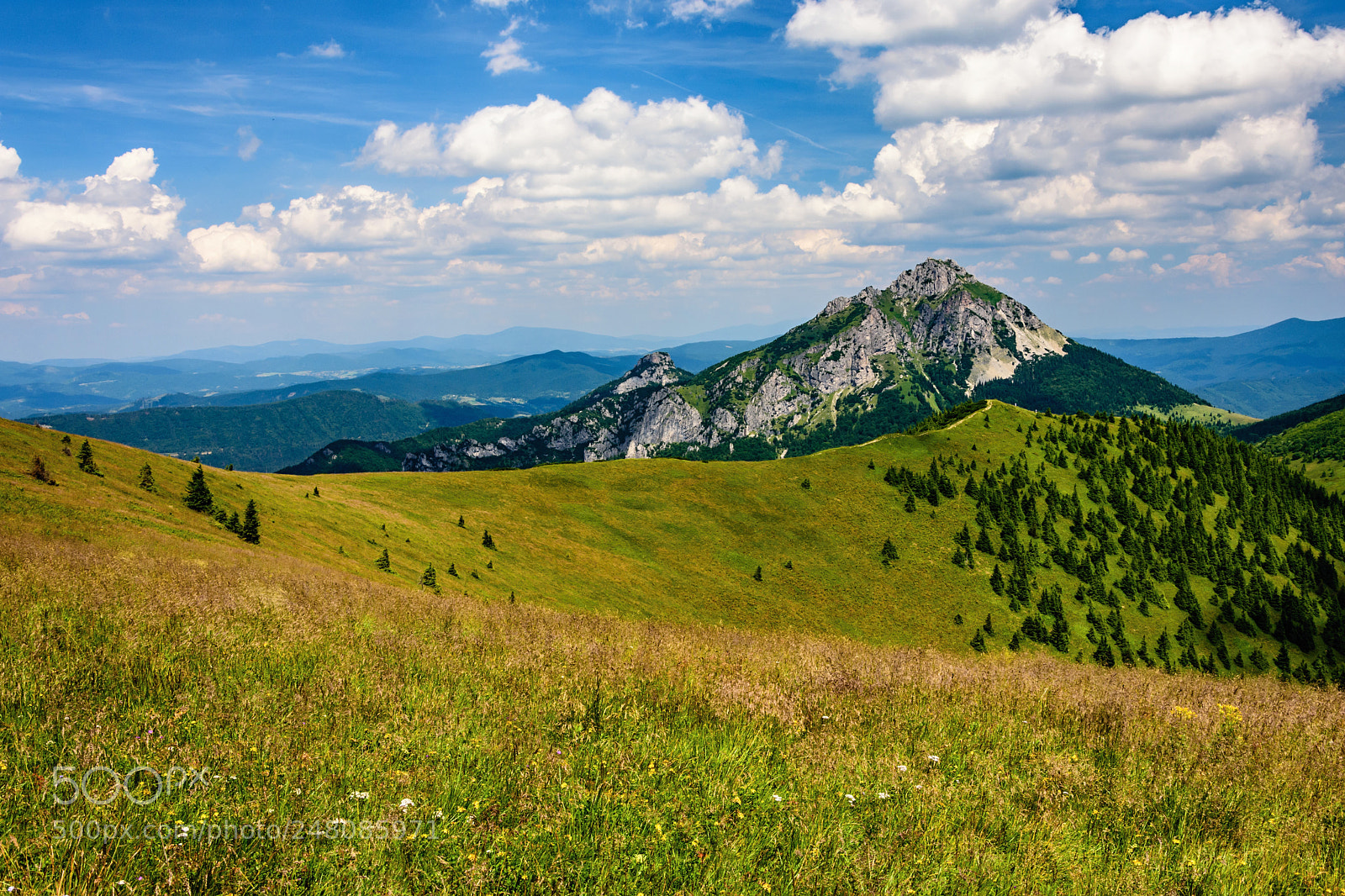 Nikon D7200 sample photo. Velky rozsutec photography