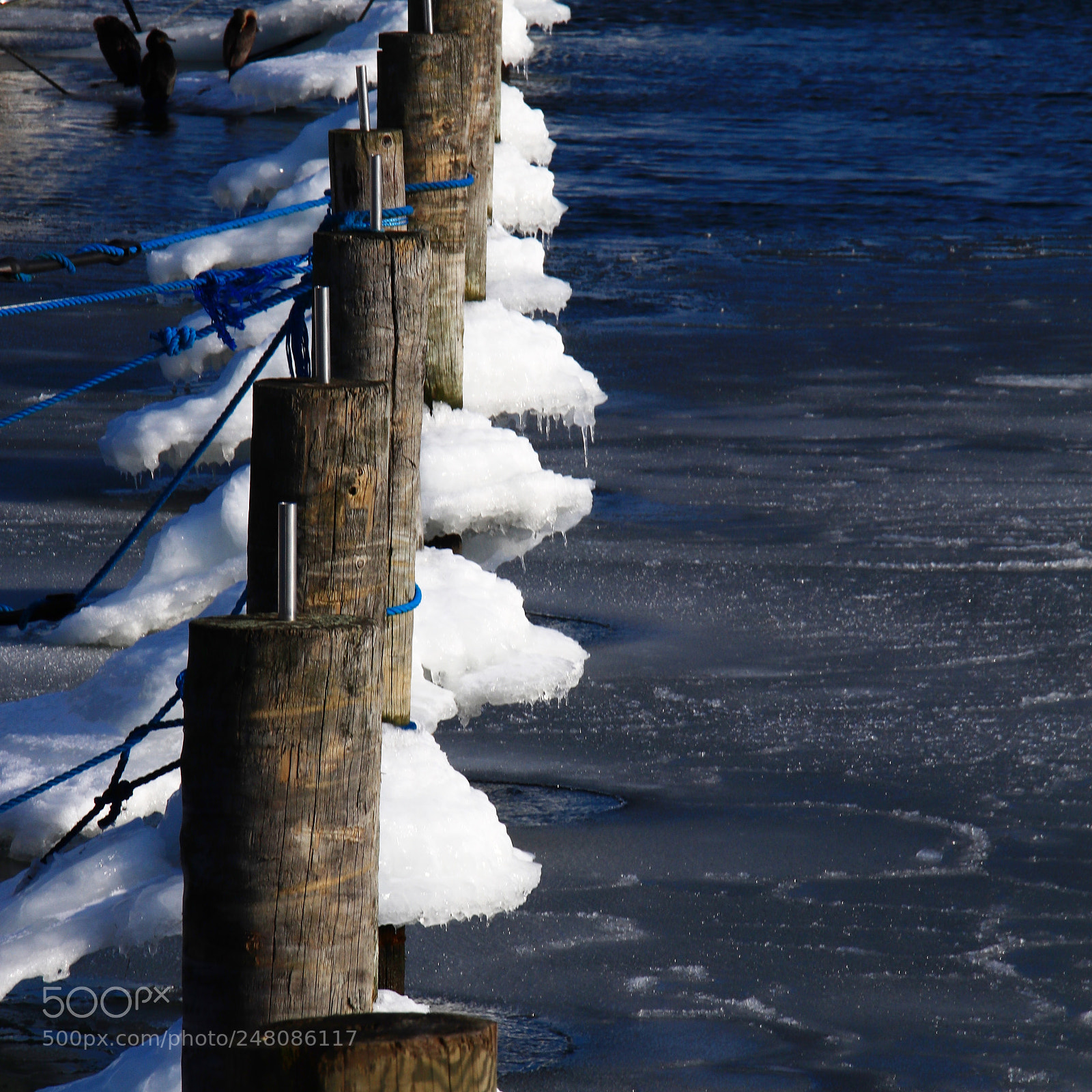 Canon EOS 77D (EOS 9000D / EOS 770D) sample photo. Untitled photography