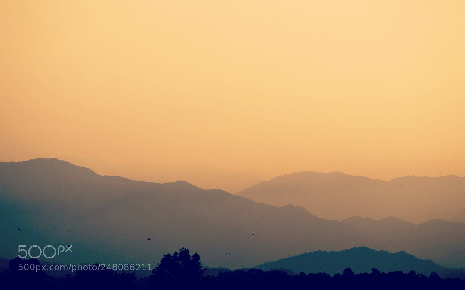 Nikon D3200 sample photo. And the mountains echoed photography