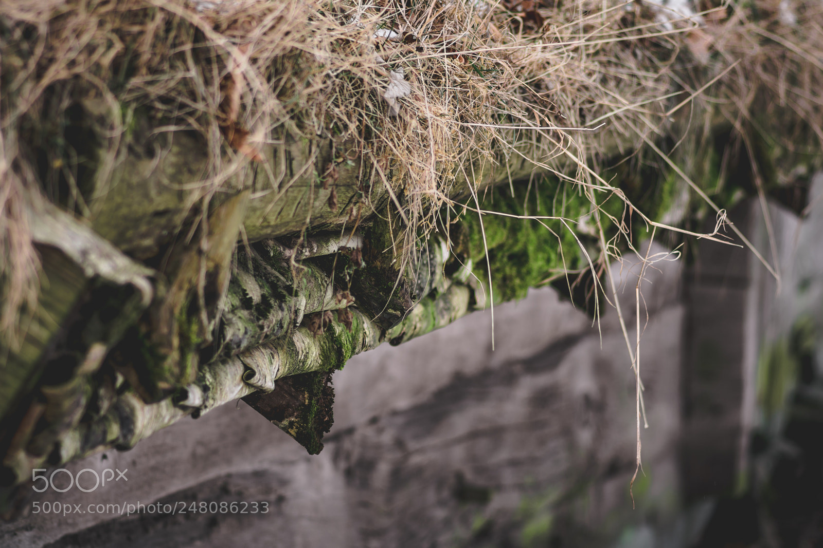 Nikon D7100 sample photo. Art block photography