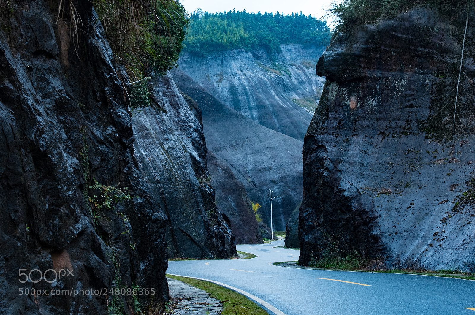 Nikon D810 sample photo. Untitled photography