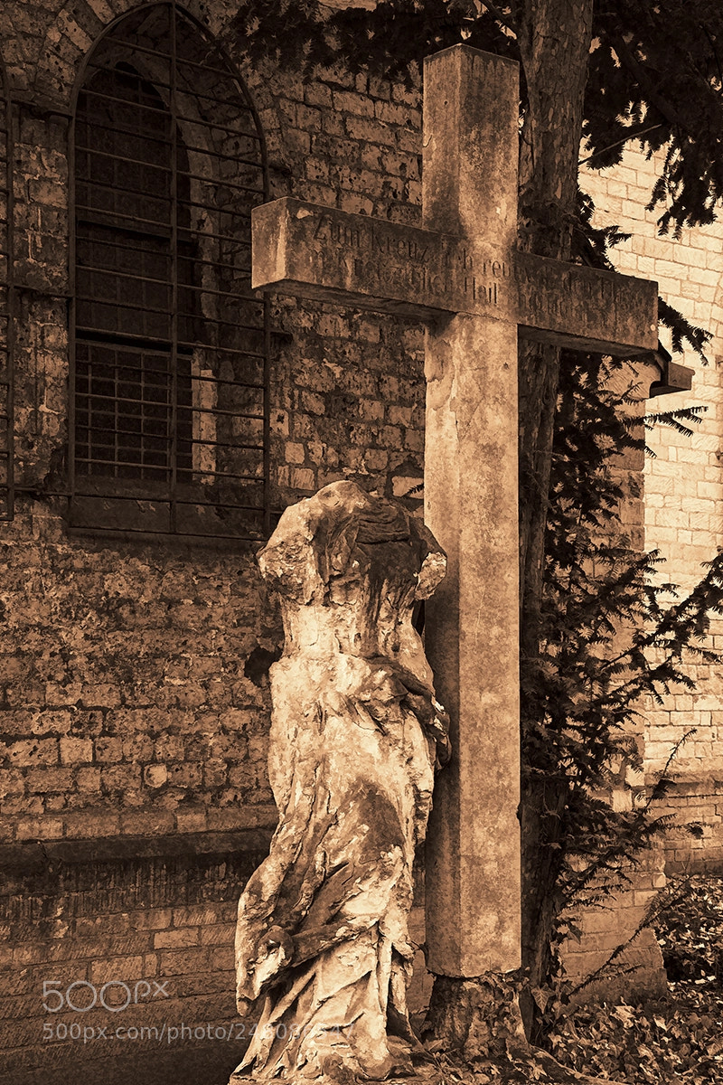 Nikon D90 sample photo. Headless ... photography
