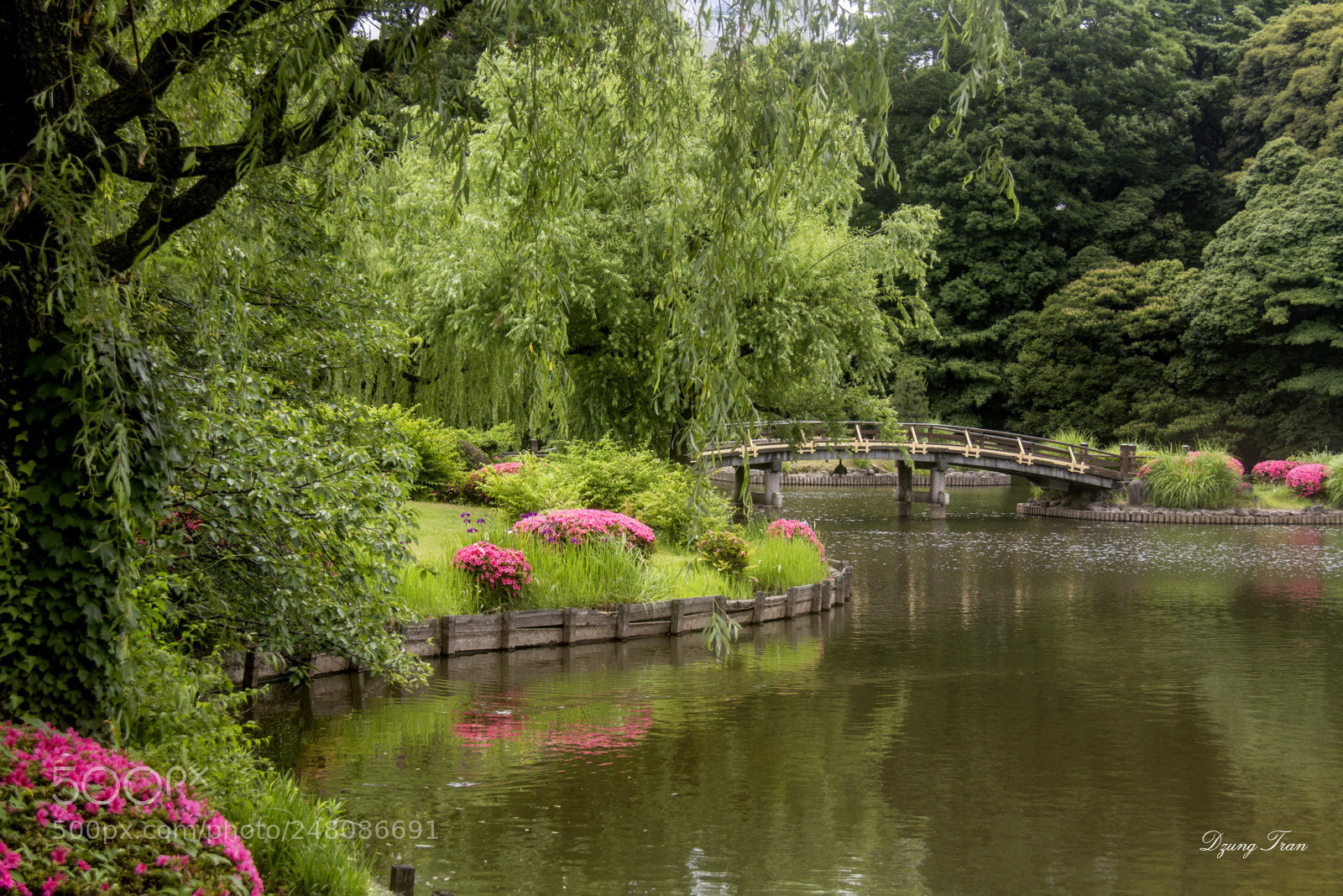 Canon EOS 7D sample photo. Shijuku gyoen national park photography