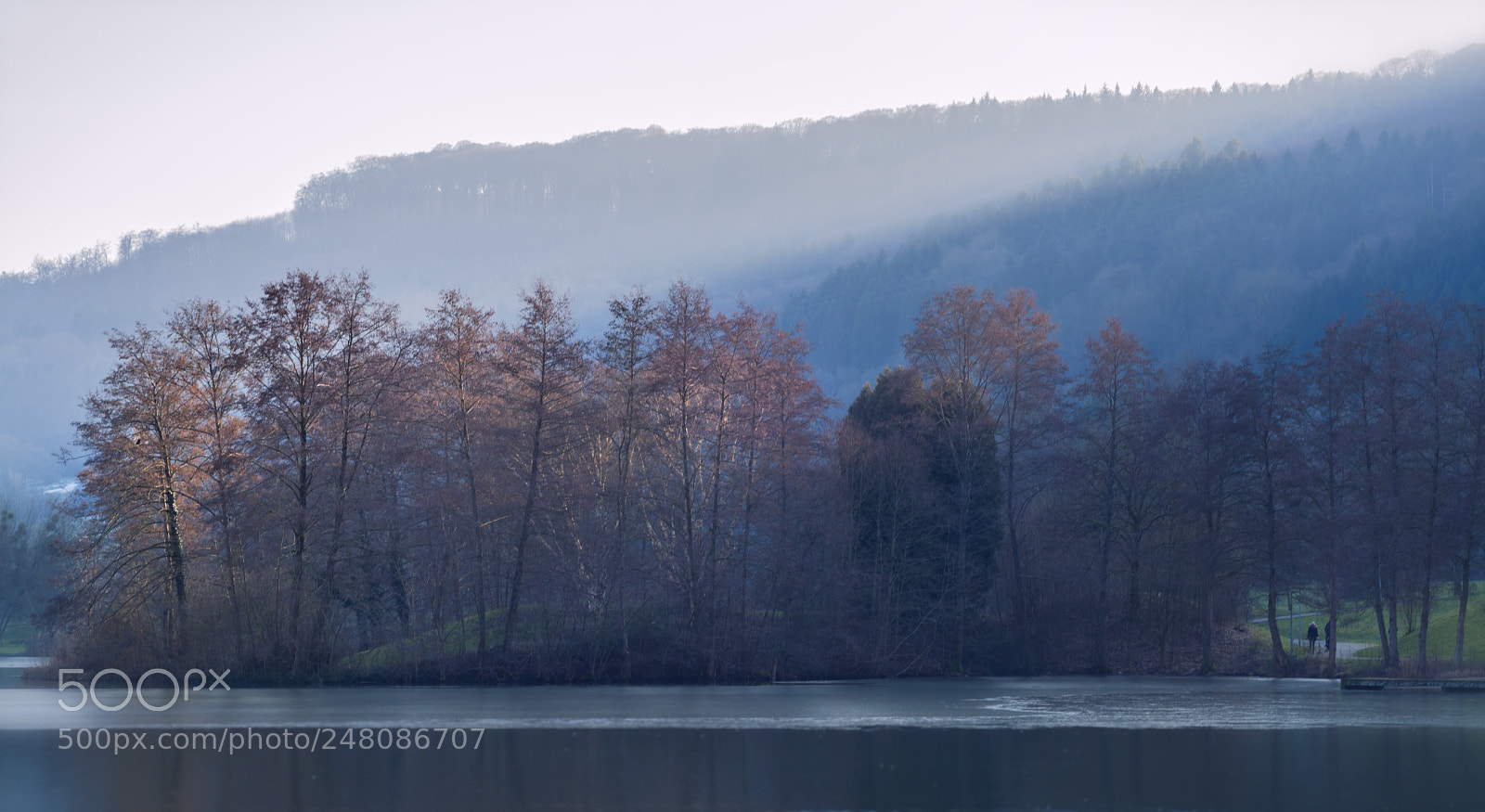 Nikon D7100 sample photo. Sunlight photography