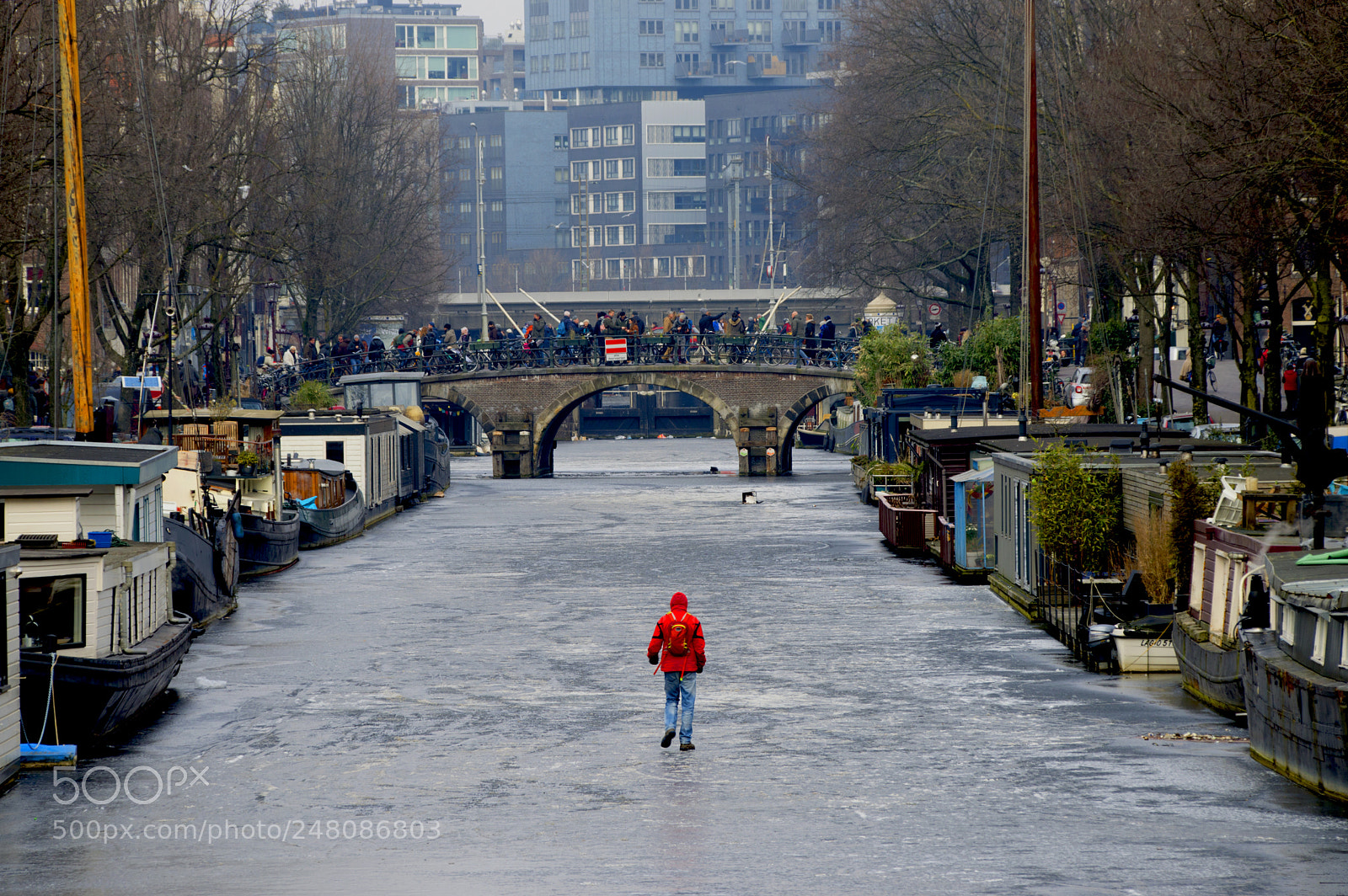 Nikon D3200 sample photo. Frozen canals, amsterdam photography