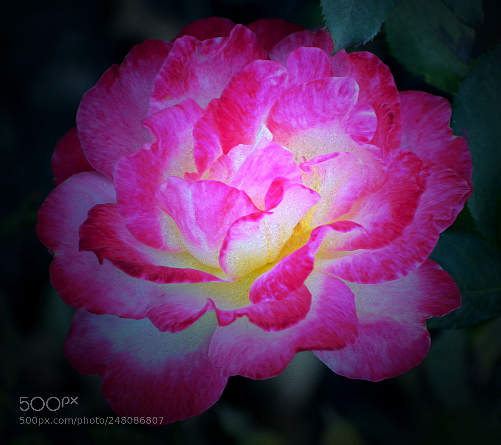 Nikon D7100 sample photo. Untitled photography