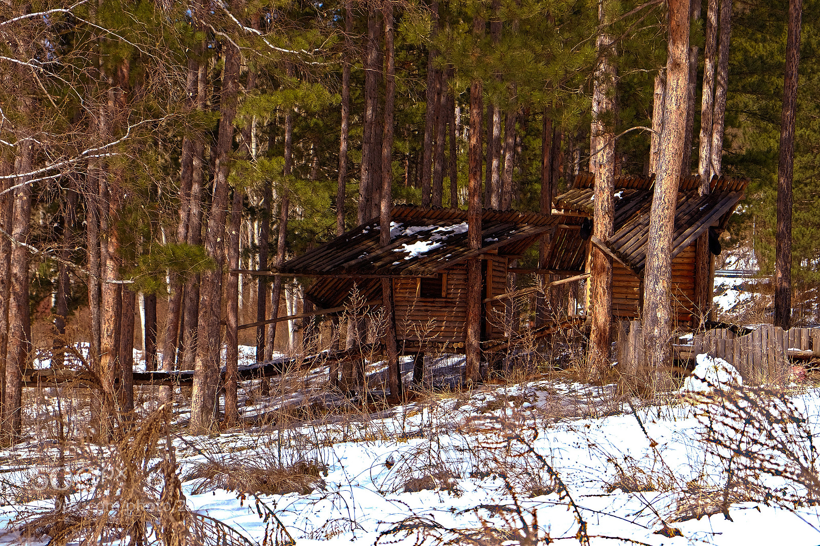 Fujifilm X-T10 sample photo. Into the woods photography