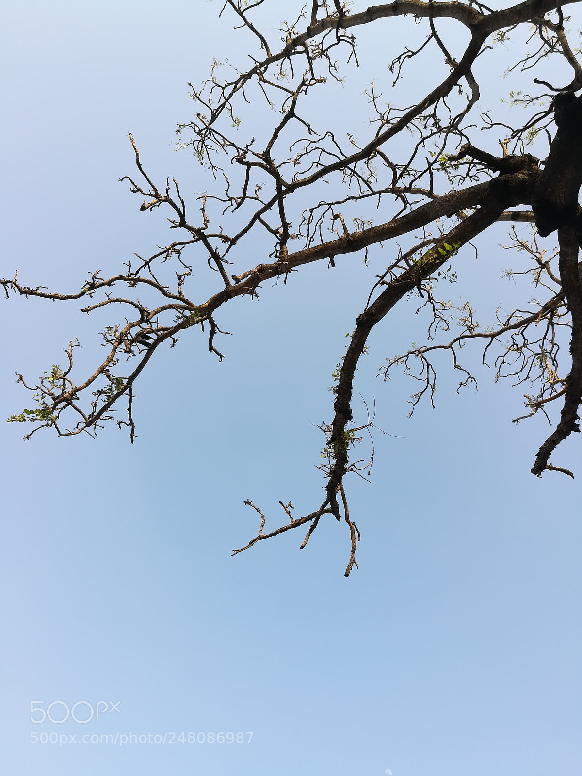 HUAWEI honor 6x sample photo. Shot on a 200 photography