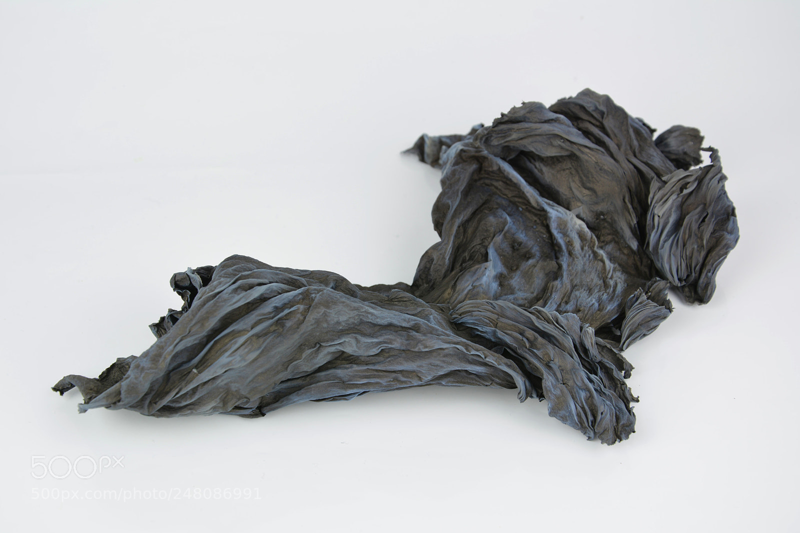 Nikon D7100 sample photo. Beautiful ashes of paper photography