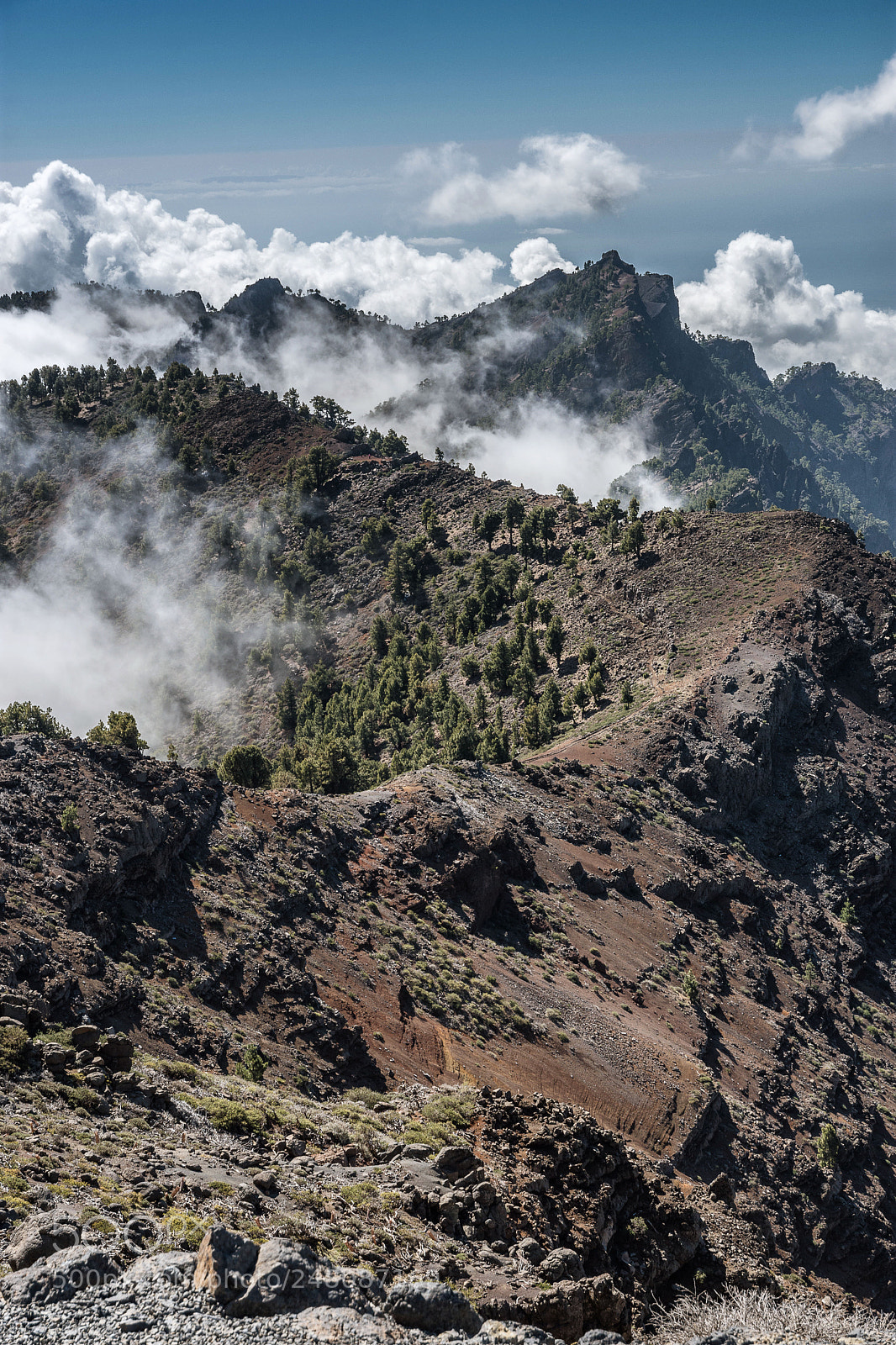 Nikon D7200 sample photo. Pico da la nieve photography