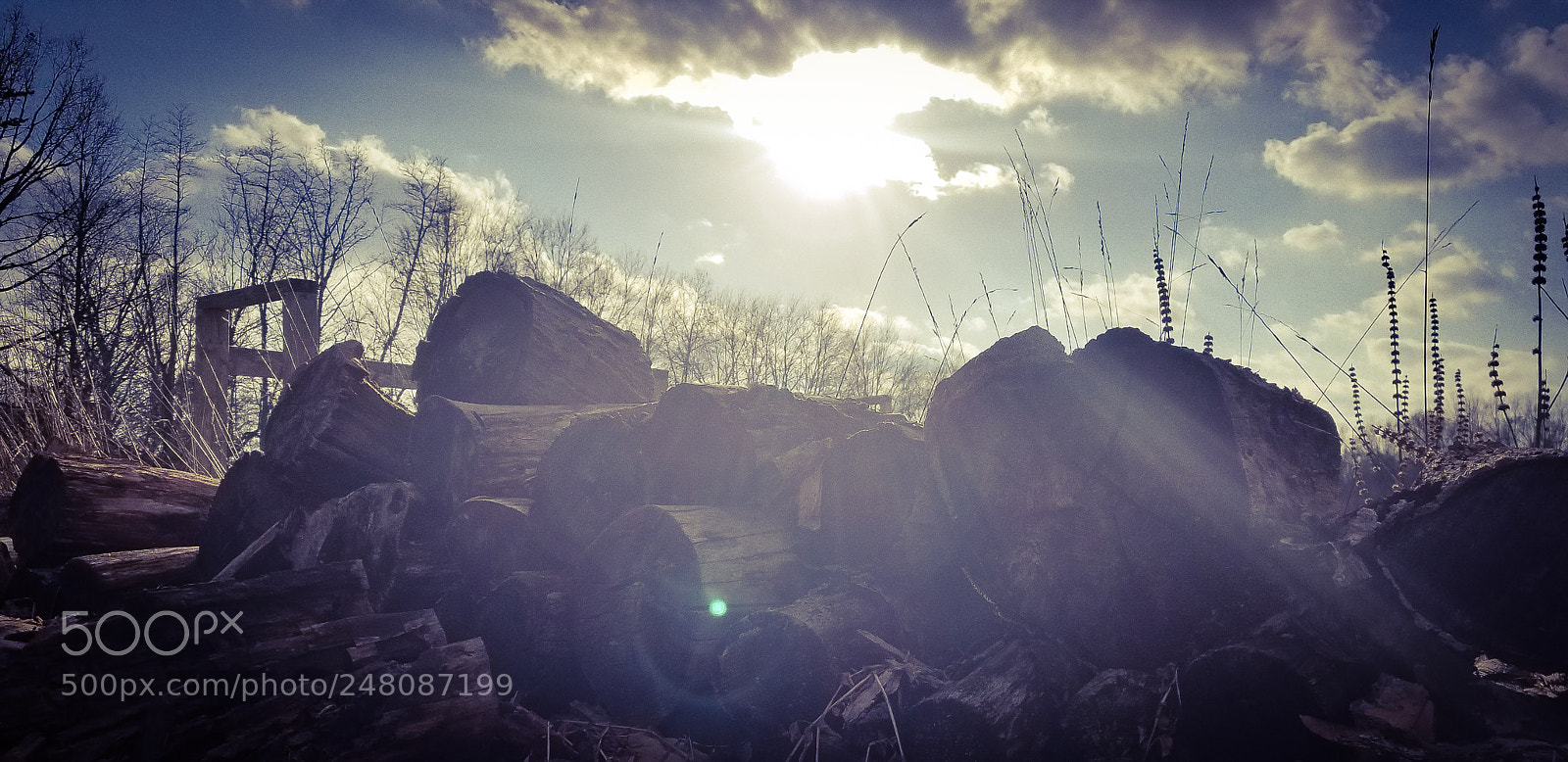 Samsung Galaxy S8 sample photo. Pile of wood photography