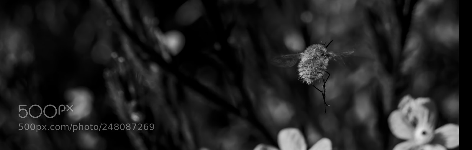 Nikon D5100 sample photo. Untitled photography
