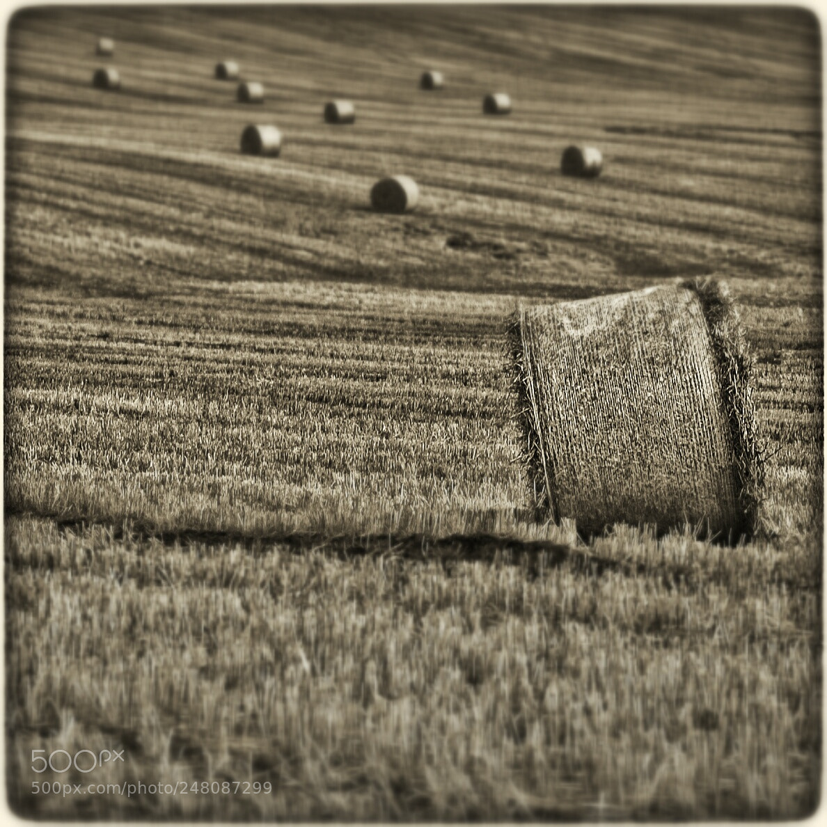 Olympus E-620 (EVOLT E-620) sample photo. Haybale photography