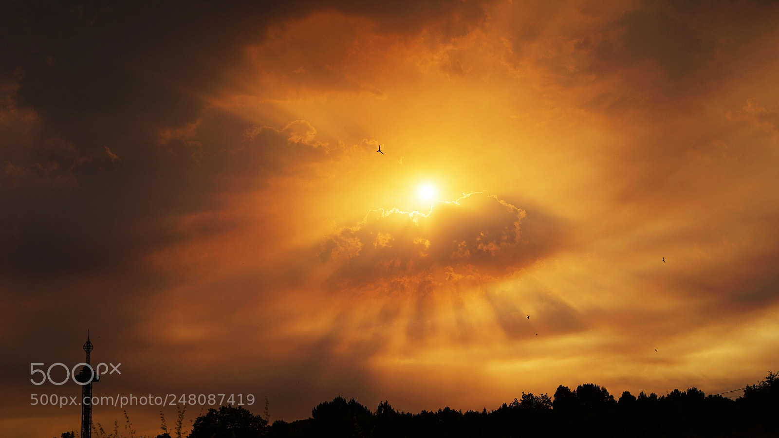 Sony a7 II sample photo. Blazing sky photography