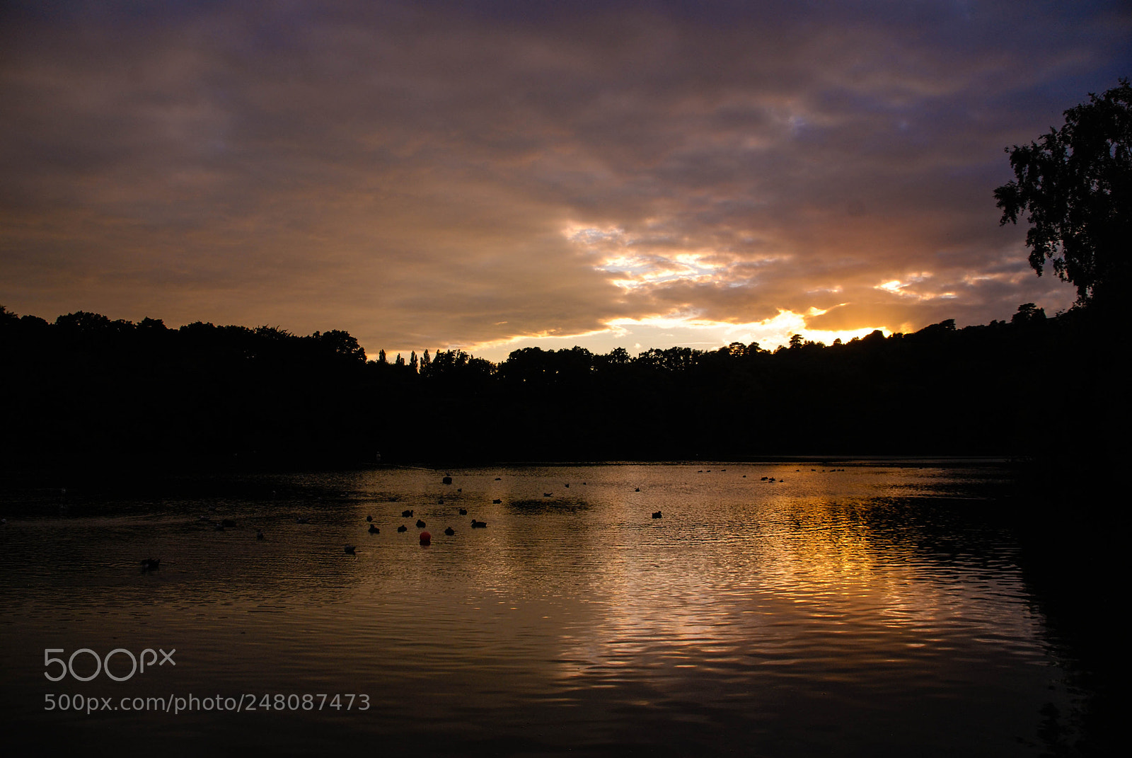 Nikon D80 sample photo. Sunset lake photography