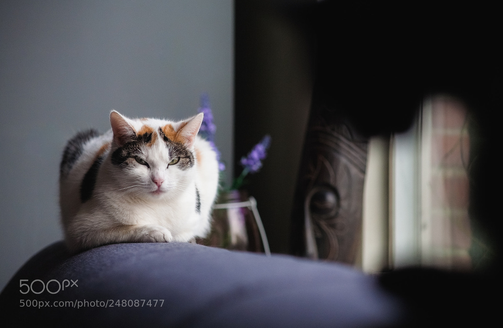 Canon EOS 5D sample photo. Home photography