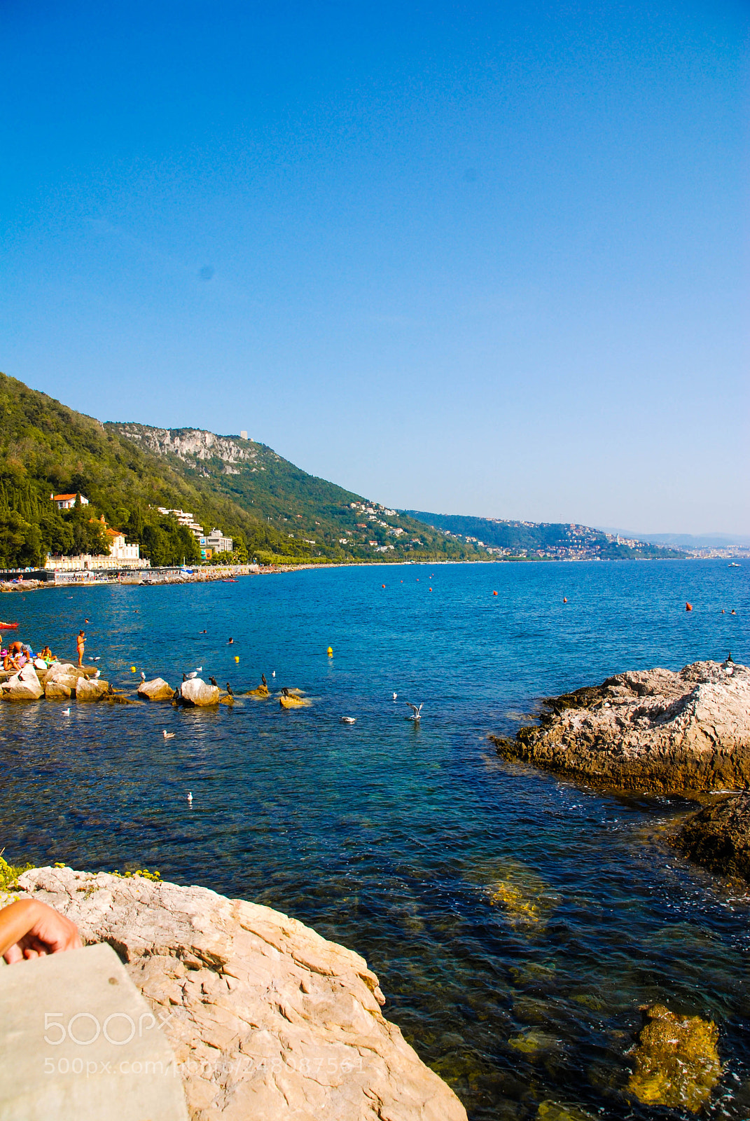 Nikon D80 sample photo. Coast of trieste photography