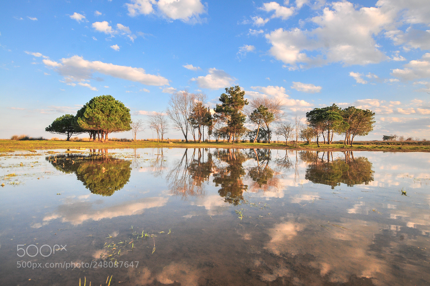 Nikon D300 sample photo. 04.03.2018 - 2 photography