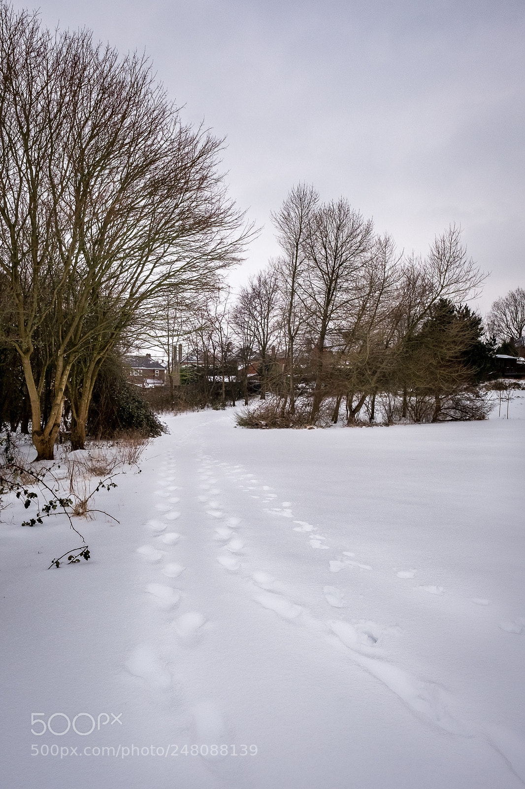 Fujifilm X-Pro2 sample photo. Someone s been here photography